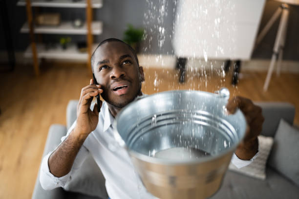 Best Flooded house restoration  in National City, CA