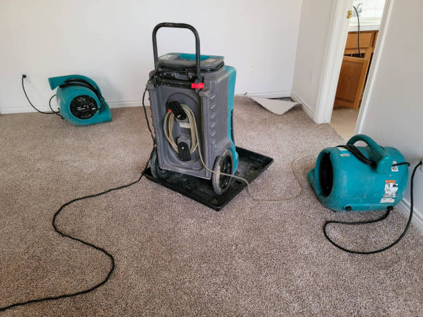 Best Commercial water damage restoration  in National City, CA