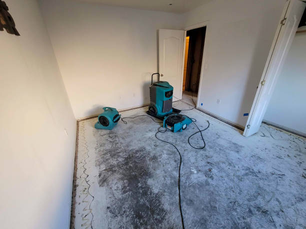 Best Local water damage restoration  in National City, CA