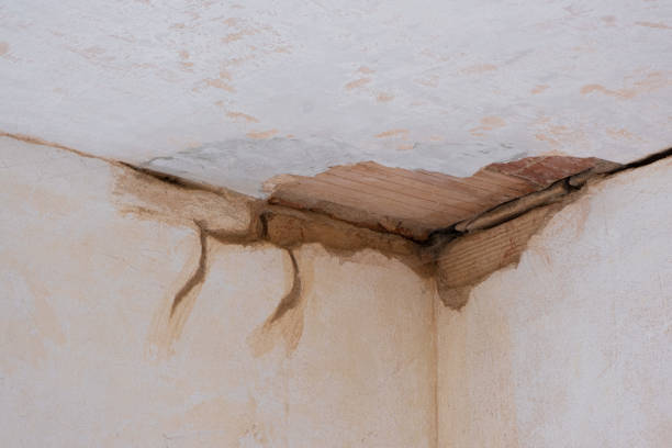 Local water damage restoration in CA