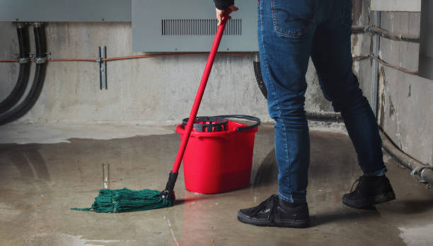 Best Water damage restoration experts  in National City, CA