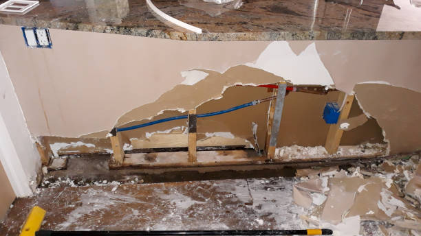 Best Flood damage cleanup  in National City, CA
