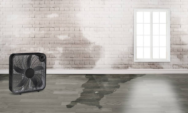 Water damage restoration experts in CA