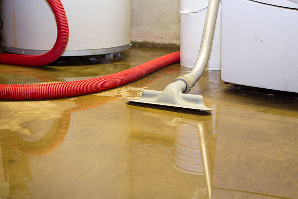 Best Flood restoration services  in National City, CA