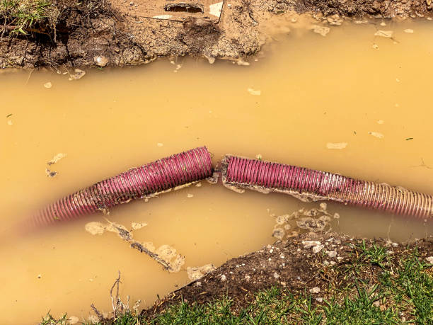 Best 24/7 water damage repair  in National City, CA