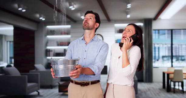 Best Water damage restoration near me  in National City, CA
